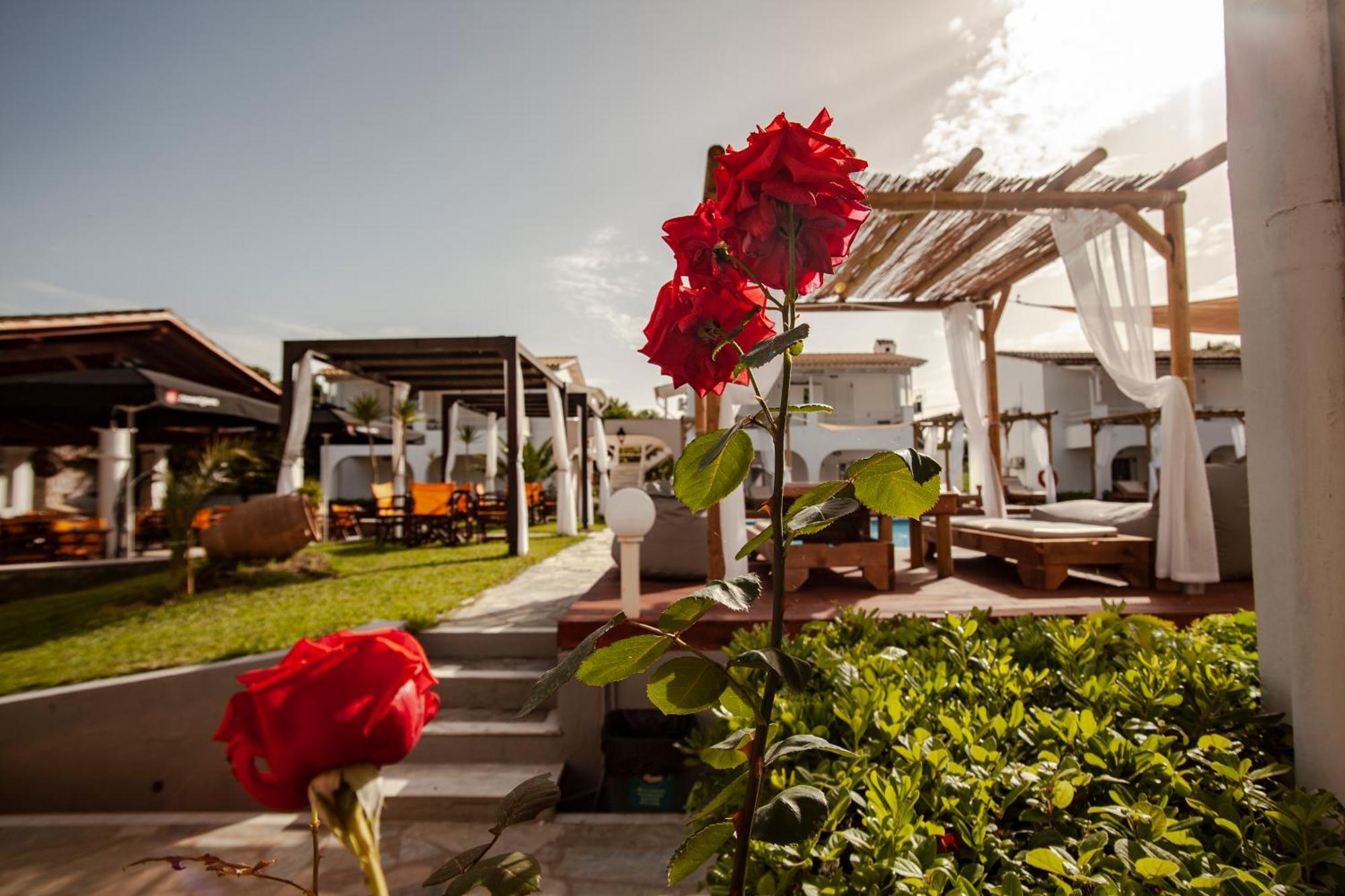 Zografia Aparthotel Corfu  Exterior photo